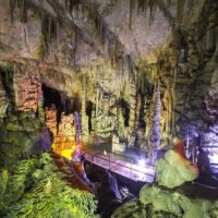 Bus & Minivan Tours