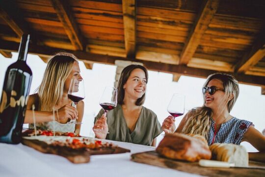 Pelješac private Wine Tour - wine and food pairing