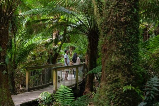 Private Two Day Great Ocean Road Tour