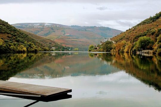 Douro Valley: From Casal de Loivos to Pinhão Walk and Wine Tour