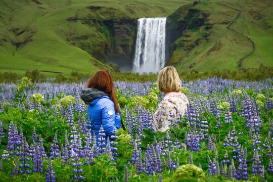 Full-Day South Coast Tour & Glacier Hike - with Photo Package