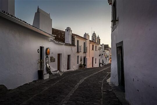 Evora and Monsaraz full day private tour from Lisbon