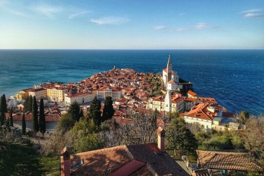 Slovenian Coast E-Bike Tour with Transfer from Ljubljana