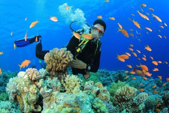 Bodrum Scuba Diving