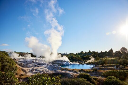 From Auckland: Rotorua Māori Village & Waitomo Caves Small Group