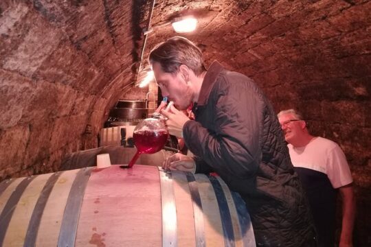 Half-day Wine Tasting Tour in Etyek Wine Country near Budapest