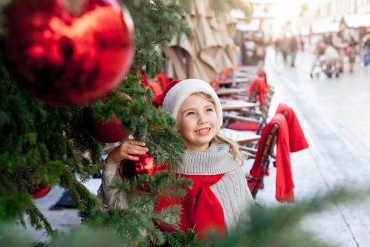 Magic Christmas Markets tour around Bari