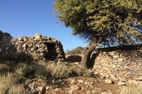 Explore the White Mountains of Crete
