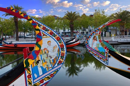 Coimbra and Aveiro Full-Day Private Tour from Lisbon