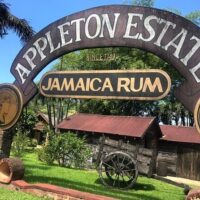 Wine Tasting & Winery Tours