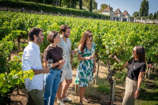 Lisbon Wine Experience with 4WD Tour & Wine Tasting