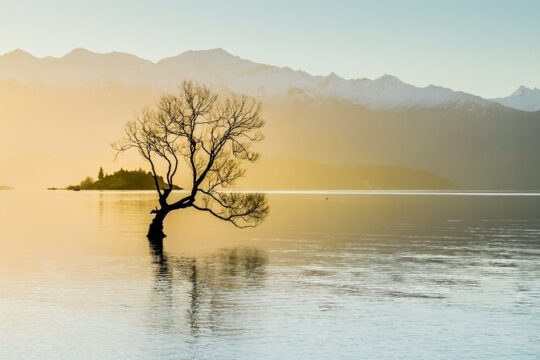 Private Tour Half Day Queenstown and Beyond Photography Tour