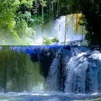 Private & Custom Tours