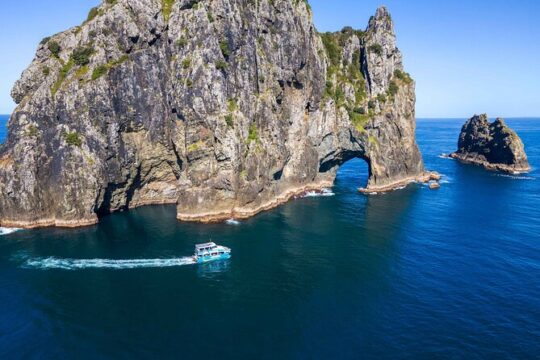 Bay of Islands Cruise & Island Tour - Snorkel, Hike,Swim,Wildlife
