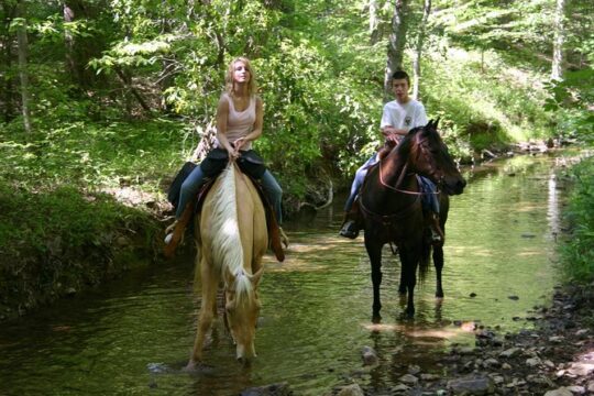 Horseback Riding Experience in Marmaris