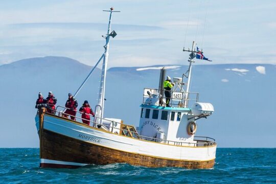 Husavik family-owned and operated Whale watching