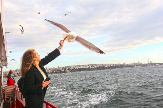 Sunset Bosphorus Cruise