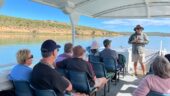 A Great Cruise