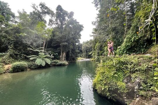 Half-day Rainforest Tour with Transport from San Juan