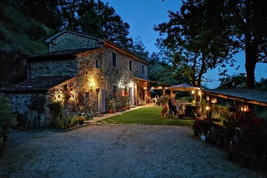 Olive Oil tour with Tuscan dinner