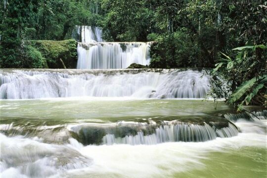 Private YS Falls and Black River Safari from Falmouth