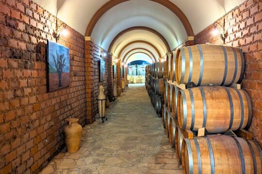 The Exquisite Flavors of Peljesac, Private Wine Tasting Trip