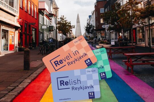 Reykjavik City Card 24-hour