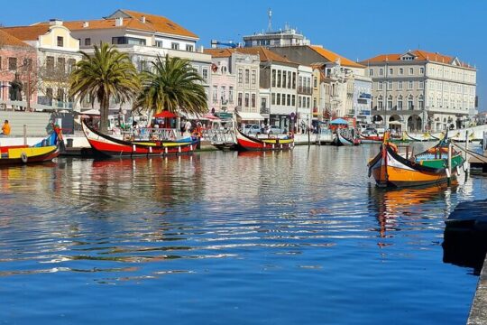 Private Full day Tour to Aveiro and Porto