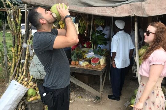Private and Customize Highlight Tour to Montego Bay from Falmouth