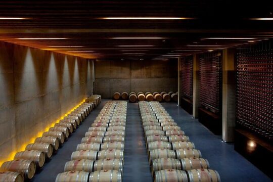 Private Wine & Food Tour in Lisboa