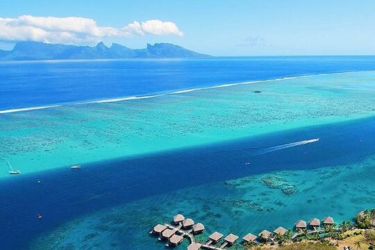 Small group snorkeling (5 people max): wrecks & tropical fishes at 3:30pm