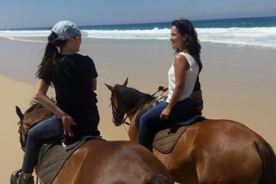 Horse Riding Tour on the Beach Lisbon region