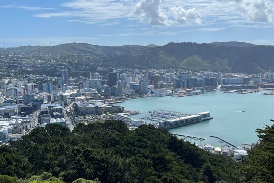 Wellington Full Day Private Tour in Electric Tesla SUV