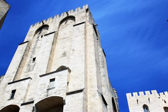 Avignon's history, local culture & the wines of Châteauneuf du Pape private tour