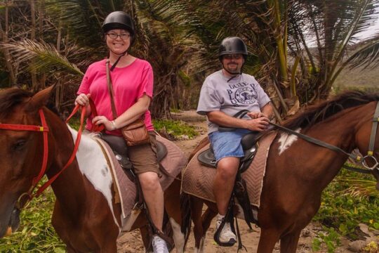 Nature & Historical Horseback Riding Tours St. Lucia