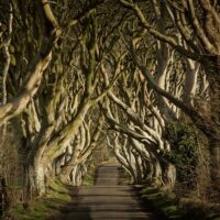 Shore Excursions