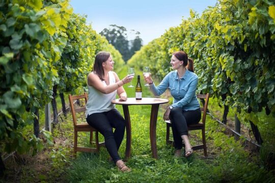 Full-Day Wine Tour from Blenheim