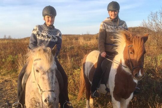 2 hours Private Horse Riding to Lake Hafravatn, Reykjavík - Mos