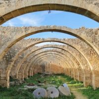 Shore Excursions