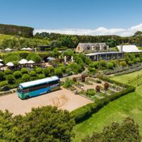 Hop-on Hop-off Tours