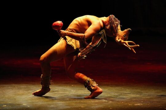 Small Group: Discover the Folkloric Ballet of Mexico