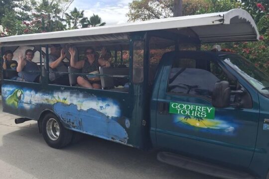 Private St Thomas Customized Tour