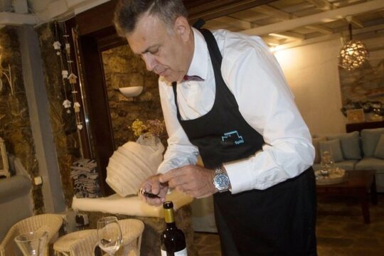 Half-Day Wine Tasting Tour in Mykonos