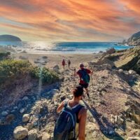 Walking Tours