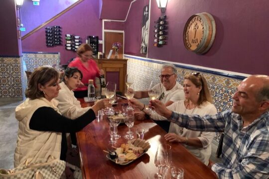 Wine tasting with cheeses and regional sweets from Setúbal Half day