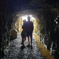 Private & Custom Tours