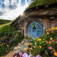 Movie & TV Tours