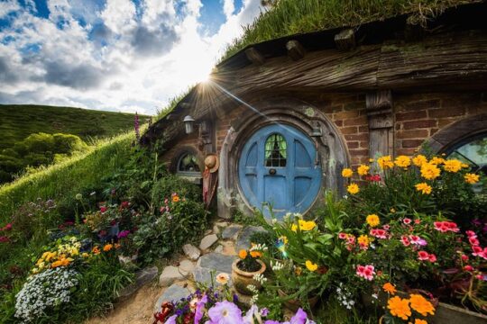Rotorua to Auckland via Hobbiton Tour with Lunch - One Way