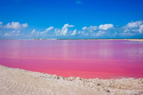 Las Coloradas, Río Lagartos and Cancunito Beach Tour