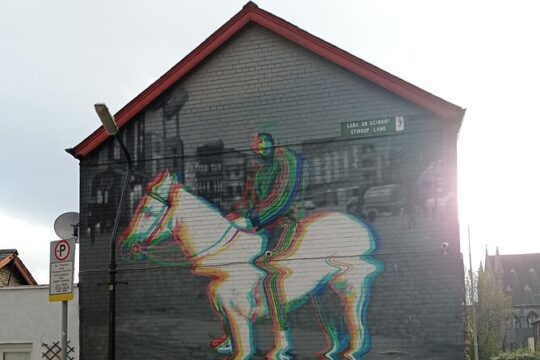 Private Dublin Street Art Tour